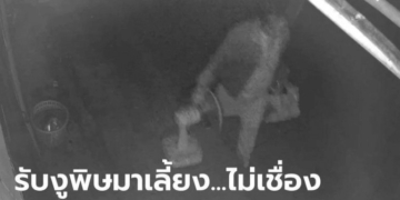 สาวรับคนเร่ร่อนมาเลี้ยง-เรียกพวกมายกเค้า-ขโมยรถ-แชตมาบอกจะผ่อนใช้หนี้วันละ-500