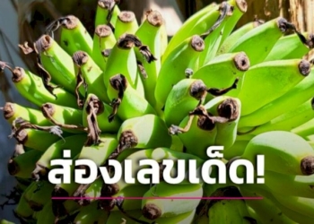 เรื่องแปลกก่อน“หวย”ออก-งวด1พฤศจิกายน2565-|-เดลินิวส์