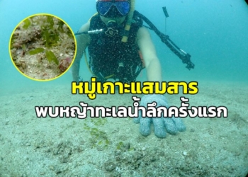 ฮือฮา!-พบ-“หญ้าทะเลน้ำลึก”-ที่หมู่เกาะแสมสารครั้งแรก