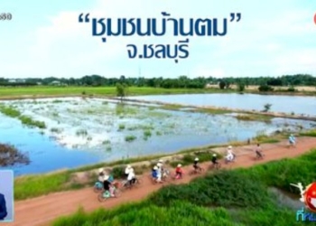 เช้านี้วิถีไทย-:-ท่องเที่ยงเชิงสุขภาพที่-ชุมชนบ้านตม-จ.ชลบุรี