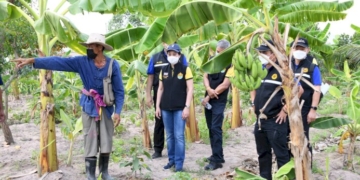 สคทช-ติดตามการดำเนินงานคทช.-พื้นที่ต้นแบบ-แก้ปัญหาที่ทำกินเขาซก-ชลบุรี