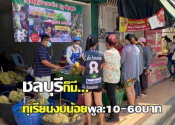 ชลบุรีก็มี!-ทุเรียนงบน้อยเริ่มต้นขายพูละ-10-60-บาท-ช่วยผู้มีเงินน้อยได้รับประทาน