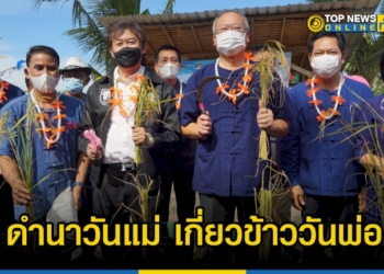 อีอีซี-จ.ชลบุรี-จัดกิจกรรม-ดำนาวันแม่-เกี่ยวข้าววันพ่อสู่การสร้างเศรษฐกิจฐานราก-–-topnews