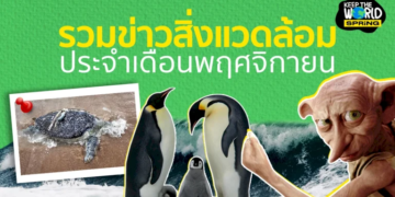 เดือนแห่งการหารือ-:-รวมข่าวสิ่งแวดล้อมทั่วโลก-ประจำเดือนพฤศจิกายน