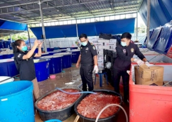 ชำแหละโรงงานหมูฟอร์มาลีน-เริ่มกิจการได้เพียง-6-เดือน