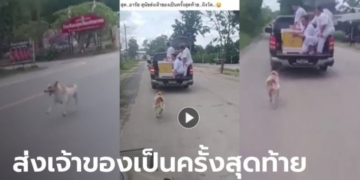 ประทับใจปนเศร้า-สุนัขวิ่งตามหีบศพเจ้าของ-ระยะทางกว่า-10-กม.-จนถึงเขตวัด