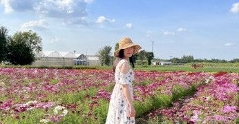 “kubota-farm-fest-2022-ฟาร์มเพาะสุข”-ทุ่งดอกไม้หลากสีสัน-มุมสวยปังใกล้กรุงเทพฯ
