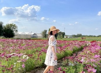 “kubota-farm-fest-2022-ฟาร์มเพาะสุข”-ทุ่งดอกไม้หลากสีสัน-มุมสวยปังใกล้กรุงเทพฯ