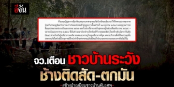จ.ฉะเชิงเทรา-เตือน-ช้างป่า-ถึง-ฤดูผสมพันธุ์-ช้างตกมัน-–-ติดสัด-ดุร้าย