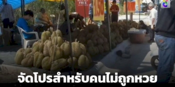 ซับน้ำตาคนผิดหวัง-ลอตเตอรี่ไม่ถูกลดราคาทุเรียน