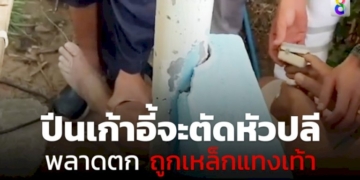 ลุงวัย-65-ปีปีนเก้าอี้จะตัดหัวปลีพลาดตกถูกเหล็กแหลมแทงเท้า