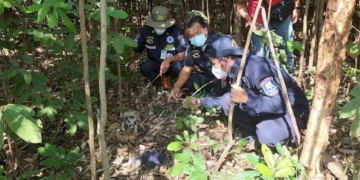 คนตัดต้นไม้ช็อก-เจอหัวกะโหลกคนกลางป่ายูคาลิปตัส-วิ่งไปบอกคนอื่น-รีบแจ้งตำรวจ