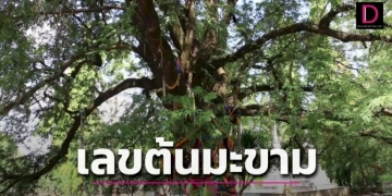 เรื่องแปลกก่อน“หวย”ออก-งวด17มกราคม2566-|-เดลินิวส์