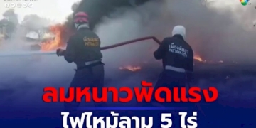 ลมหนาวพัดแรง-ไฟไหม้ป่าหญ้าลามพื้นที่เก็บสายเคเบิล-5-ไร่