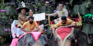 วาเลนไทน์​พัทยาคึกคัก-คู่รักไทย-เทศแห่จดทะเบียนสมรสบนหลังช้าง-ที่ว่าการอำเภอบางละมุง