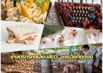“เกษตรกรคนเลี้ยงสัตว์”-แซนวิชที่ถูกบีบ