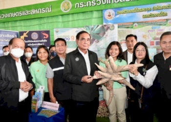 ส่องทะเบียนรถนายกฯ-ลงพื้นที่เปิดงาน-“มหกรรมยางพาราและพืชเศรษฐกิจ-eec-2023”-จ.ระยอง