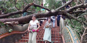 ระทึก!-พายุถล่มต้นไม้แดงยักษ์อายุนับ-100-ปีล้มทับบันไดนาควัดพระธาตุดอยสุเทพ