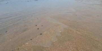 พบคราบน้ำมันลอยทะเลหาดจอมเทียนส่งกลิ่นเหม็นคละคลุ้ง-ทำผู้ประกอบการร่มเตียงต้องหยุดบริการชั่วคราว