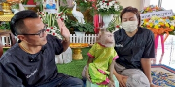 เศร้า!-วงการละคร-ได้สูญเสีย-ลุงปัญญา-เจ้าของคณะละครลิง-“ประกิต-ศิษย์พระกาฬ”